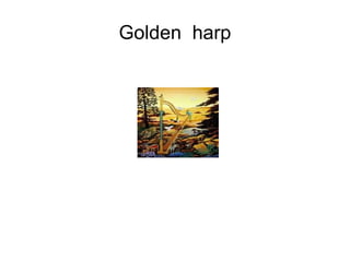 Golden  harp 