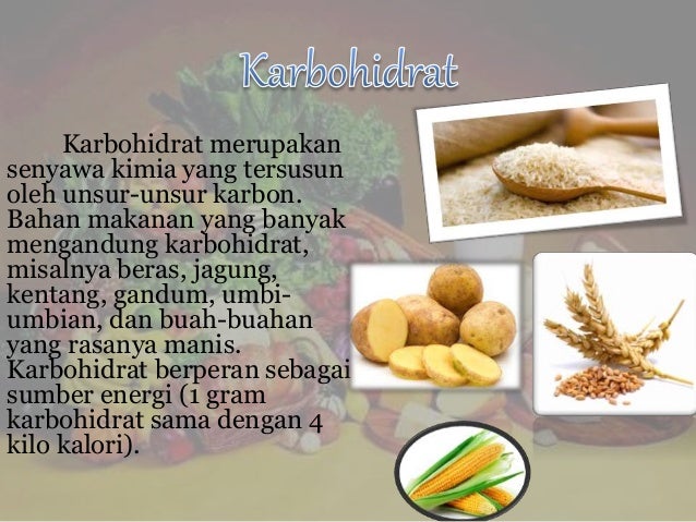 Sumber Energi Alternatif & Makanan Sebagai Sumber Energi