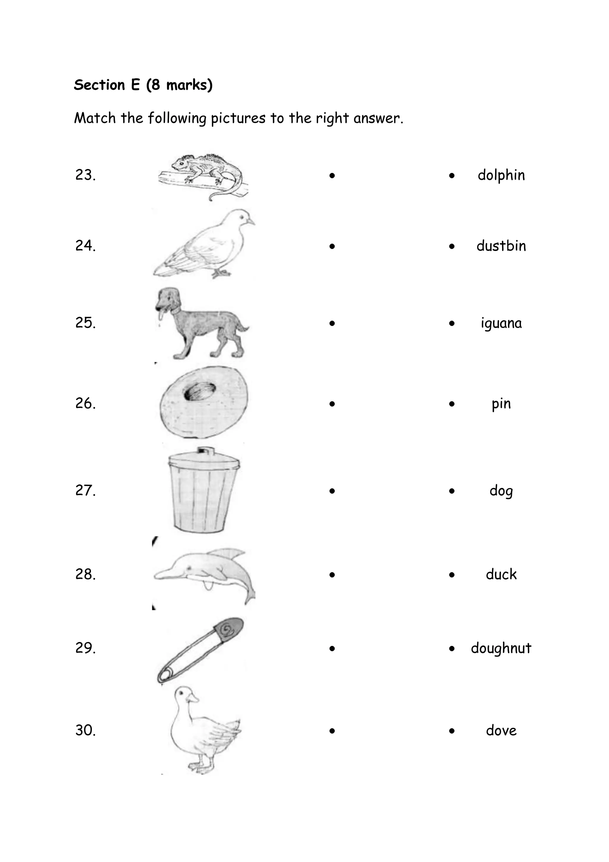 Section E (8 marks)
Match the following pictures to the right answer.
23.
dolphin
24.
dustbin
25.
iguana
26.
pin
27.
dog
28.
duck
29.
doughnut
30.
dove