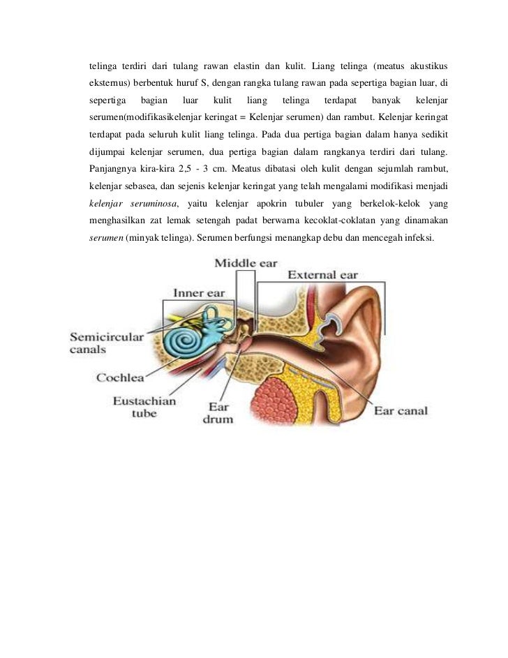 Baru laporan modul 2 3