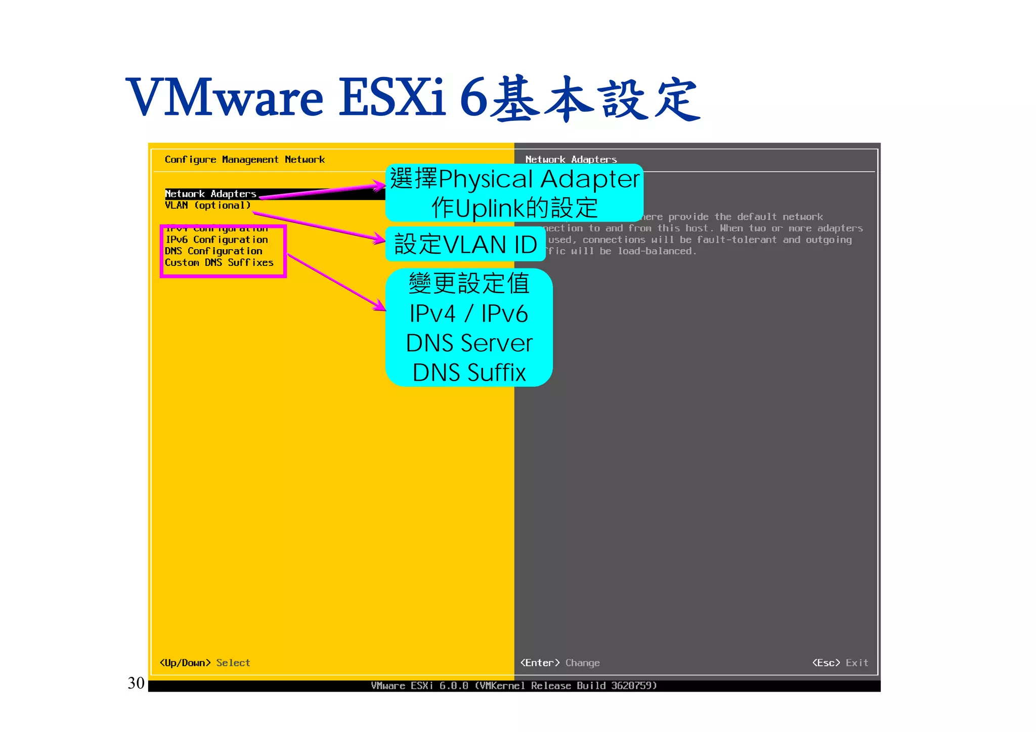 30
VMware ESXi 6基本設定
選擇Physical Adapter
作Uplink的設定
變更設定值
IPv4 / IPv6
DNS Server
DNS Suffix
設定VLAN ID
 