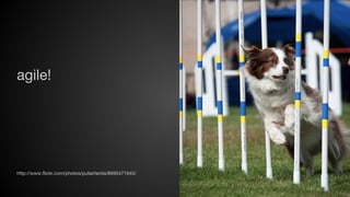 agile!

http://www.flickr.com/photos/puliarfanita/8695471645/

 