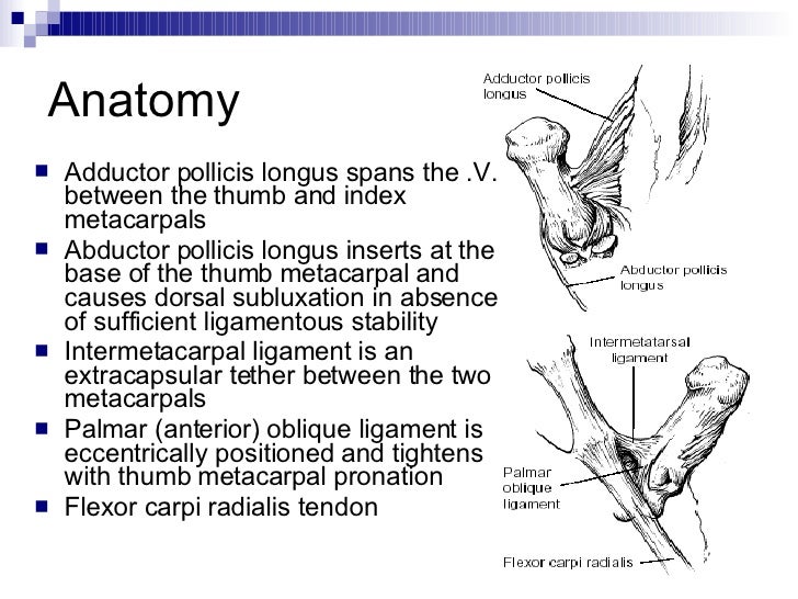 Basal Joint Arthritis Of The Thumb