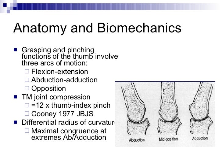 Basal Joint Arthritis Of The Thumb