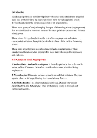 Introduction
Basal angiosperms are considered primitive because they retain many ancestral
traits that are believed to be characteristic of early flowering plants, which
diverged early from the common ancestor of all angiosperms.
These are a group of early-diverging lineages of flowering plants (angiosperms)
that are considered to represent some of the most primitive or ancestral, features
of the group.
These plants diverged early from the rest of the angiosperms and retain
characteristics that are thought to be similar to those of the earliest flowering
plants.
These traits are often less specialized and reflect a simpler form of plant
structure and function when compared to more derived groups like monocots
and eudicots.
Key Groups of Basal Angiosperms:
1.Amborellales: Amborella trichopoda is the sole species in this order and is
native to New Caledonia. It is often considered the most primitive living
angiosperm.
2. Nymphaeales:This order includes water lilies and their relatives. They are
aquatic plants with large, floating leaves and showy flowers.
3.Austrobaileyales:This order includes plants like Illicium (star anise),
Austrobaileya, and Schisandra. They are typically found in tropical and
subtropical regions.
 