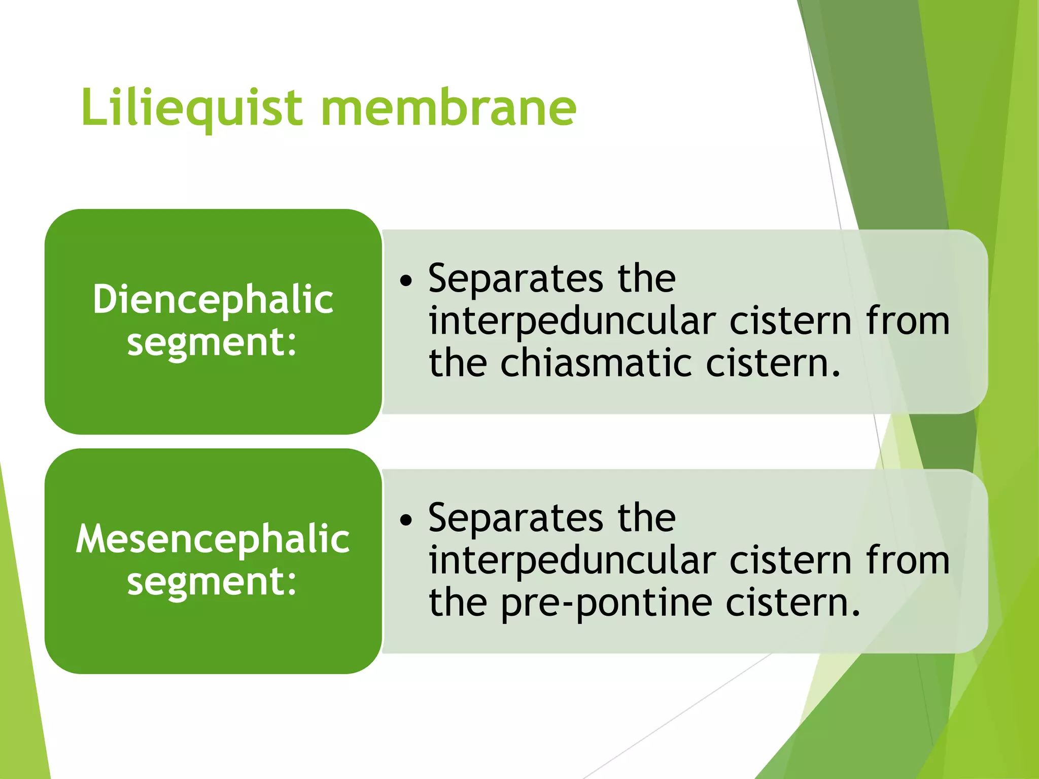Urgent: Understanding Your Basal Cisterns' Patency - 2zenskr