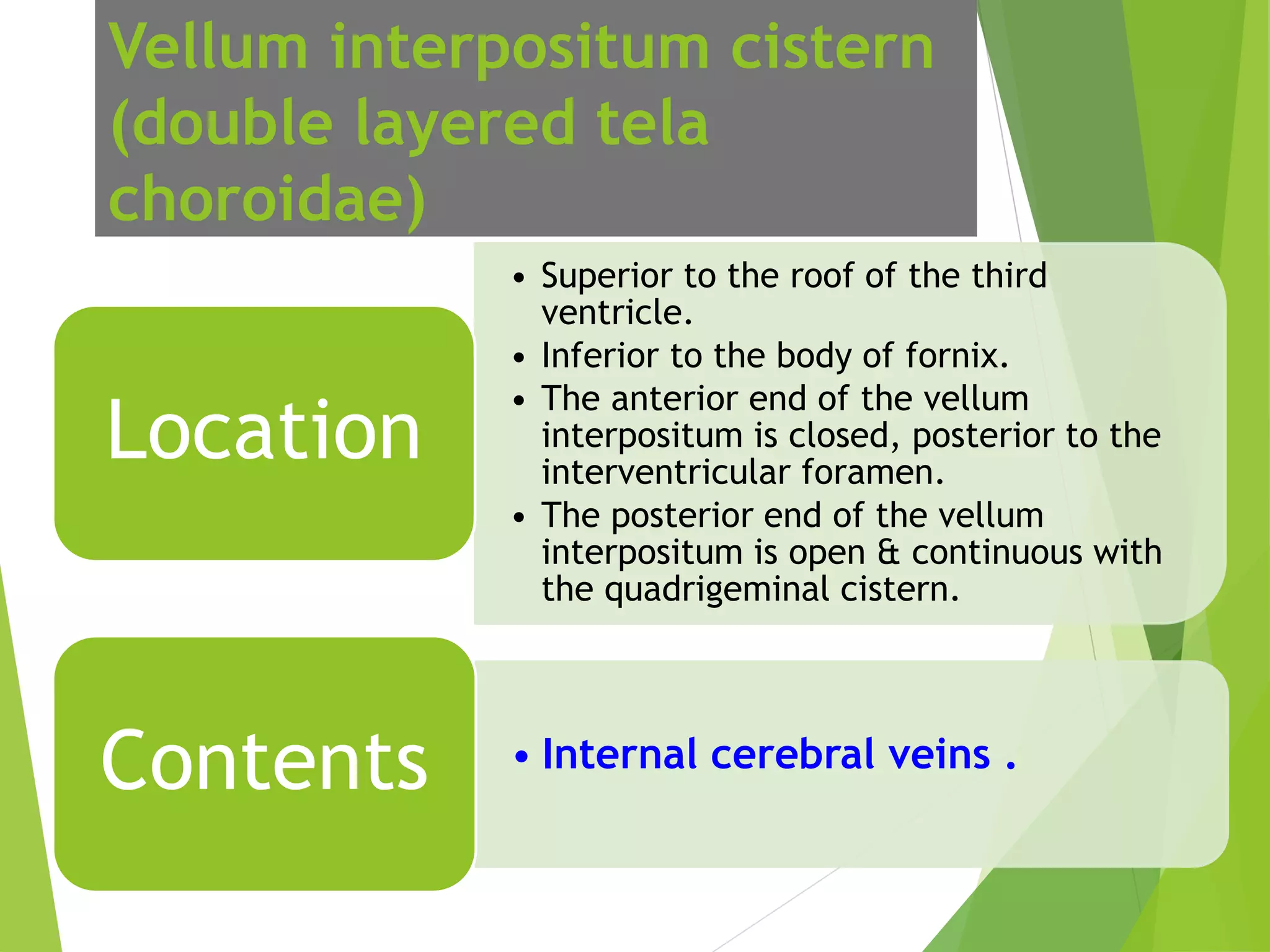 Urgent: Understanding Your Basal Cisterns' Patency - 22dykib