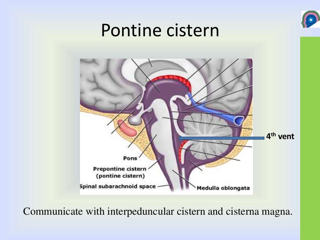 Cisterns of brain