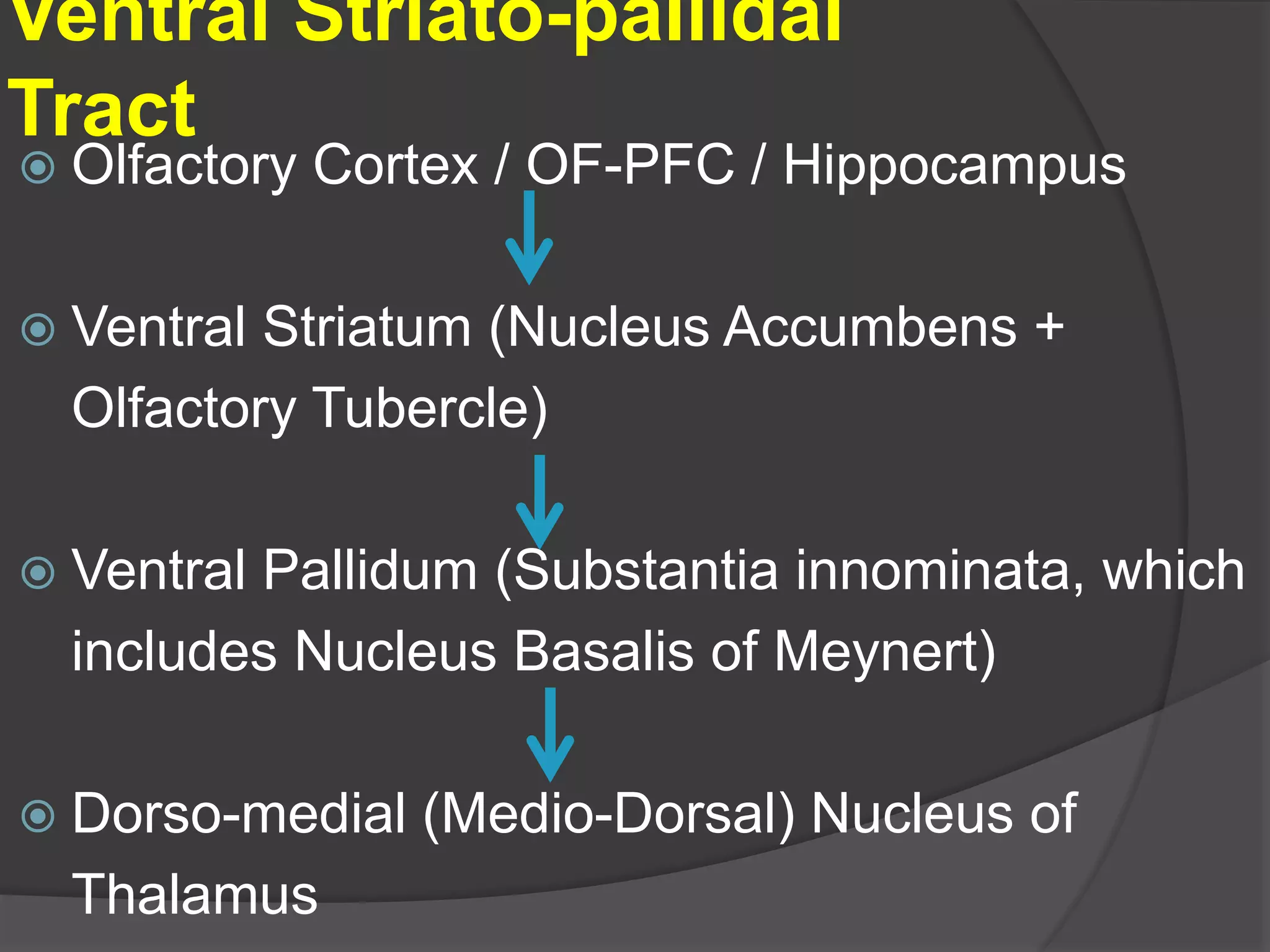 Ventral Striato-pallidal
Tract
Olfactory Cortex / OF-PFC / Hippocampus
Ventral Striatum (Nucleus Accumbens +
Olfactory Tubercle)
Ventral Pallidum (Substantia innominata, which
includes Nucleus Basalis of Meynert)
Dorso-medial (Medio-Dorsal) Nucleus of
Thalamus
