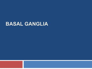 BASAL GANGLIA
 