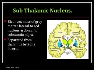 Sub Thalamic Nucleus.
 Biconvex mass of grey
matter lateral to red
nucleus & dorsal to
substantia nigra.
 Separated from
thalamus by Zona
inserta.
Friday, March 4, 2016
 