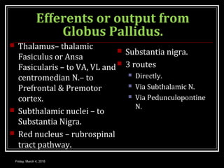 Efferents or output from
Globus Pallidus.
 Thalamus– thalamic
Fasiculus or Ansa
Fasicularis – to VA, VL and
centromedian N.– to
Prefrontal & Premotor
cortex.
 Subthalamic nuclei – to
Substantia Nigra.
 Red nucleus – rubrospinal
tract pathway.
 Substantia nigra.
 3 routes
 Directly.
 Via Subthalamic N.
 Via Pedunculopontine
N.
Friday, March 4, 2016
 
