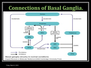 Connections of Basal Ganglia.
Friday, March 4, 2016
 