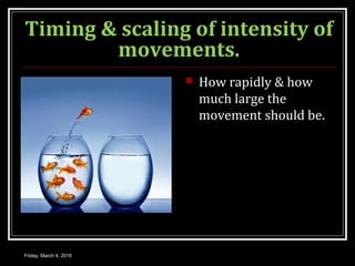 Timing & scaling of intensity of
movements.
 How rapidly & how
much large the
movement should be.
Friday, March 4, 2016
 