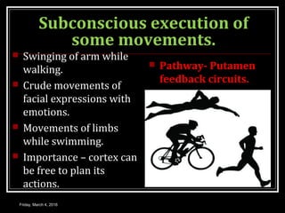 Subconscious execution of
some movements.
 Swinging of arm while
walking.
 Crude movements of
facial expressions with
emotions.
 Movements of limbs
while swimming.
 Importance – cortex can
be free to plan its
actions.
 Pathway- Putamen
feedback circuits.
Friday, March 4, 2016
 
