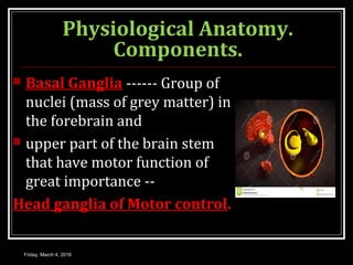 Physiological Anatomy.
Components.
 Basal Ganglia ------ Group of
nuclei (mass of grey matter) in
the forebrain and
 upper part of the brain stem
that have motor function of
great importance --
Head ganglia of Motor control.
Friday, March 4, 2016
 