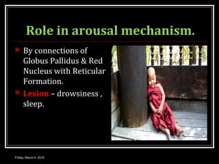 Role in arousal mechanism.
 By connections of
Globus Pallidus & Red
Nucleus with Reticular
Formation.
 Lesion – drowsiness ,
sleep.
Friday, March 4, 2016
 