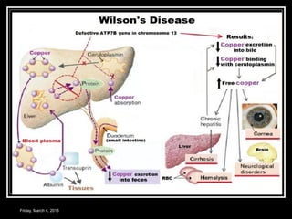 Friday, March 4, 2016
 