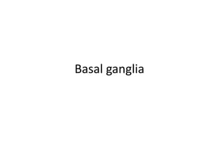 Basal ganglia
 