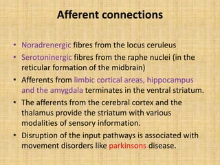 Afferent connections
• Noradrenergic fibres from the locus ceruleus
• Serotoninergic fibres from the raphe nuclei (in the
reticular formation of the midbrain)
• Afferents from limbic cortical areas, hippocampus
and the amygdala terminates in the ventral striatum.
• The afferents from the cerebral cortex and the
thalamus provide the striatum with various
modalities of sensory information.
• Disruption of the input pathways is associated with
movement disorders like parkinsons disease.
 