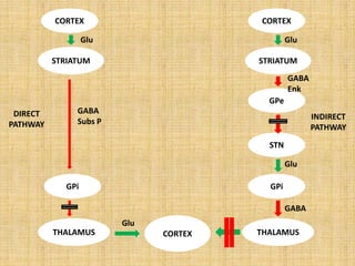CORTEX
STRIATUM
GPi
THALAMUS CORTEX
CORTEX
STRIATUM
GPi
GPe
STN
THALAMUS
Glu
GABA
Subs P
Glu
Glu
GABA
Enk
DIRECT
PATHWAY
INDIRECT
PATHWAY
Glu
GABA
 