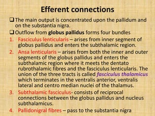 Efferent connections
The main output is concentrated upon the pallidum and
on the substantia nigra.
Outflow from globus pallidus forms four bundles
1. Fasciculus lenticularis – arises from inner segment of
globus pallidus and enters the subthalamic region.
2. Ansa lenticularis – arises from both the inner and outer
segments of the globus pallidus and enters the
subthalamic region where it meets the dentato
rubrothalamic fibres and the fasciculus lenticularis. The
union of the three tracts is called fasciculus thalamicus
which terminates in the ventralis anterior, ventralis
lateral and centro median nuclei of the thalamus.
3. Subthalamic fasciculus- consists of reciprocal
connections between the globus pallidus and nucleus
subthalamicus.
4. Pallidonigral fibres – pass to the substantia nigra
 