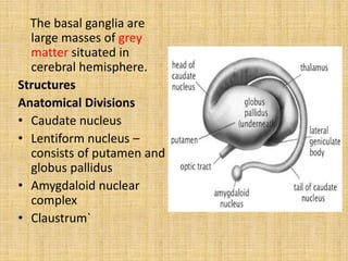 The basal ganglia are
large masses of grey
matter situated in
cerebral hemisphere.
Structures
Anatomical Divisions
• Caudate nucleus
• Lentiform nucleus –
consists of putamen and
globus pallidus
• Amygdaloid nuclear
complex
• Claustrum`
 