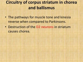 Circuitry of corpus striatum in chorea
and ballismus
• The pathways for muscle tone and kinesia
reverse when compared to Parkinsons.
• Destruction of the D2 neurons in striatum
causes chorea.
 