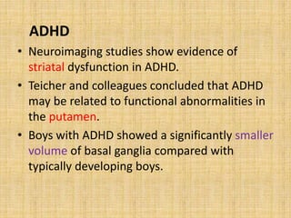 ADHD
• Neuroimaging studies show evidence of
striatal dysfunction in ADHD.
• Teicher and colleagues concluded that ADHD
may be related to functional abnormalities in
the putamen.
• Boys with ADHD showed a significantly smaller
volume of basal ganglia compared with
typically developing boys.
 