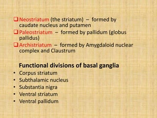 Neostriatum (the striatum) – formed by
caudate nucleus and putamen
Paleostriatum – formed by pallidum (globus
pallidus)
Archistriatum – formed by Amygdaloid nuclear
complex and Claustrum
Functional divisions of basal ganglia
• Corpus striatum
• Subthalamic nucleus
• Substantia nigra
• Ventral striatum
• Ventral pallidum
 