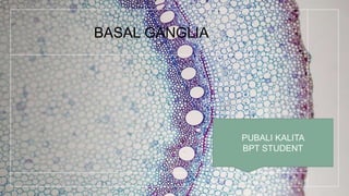 BASAL GANGLIA
PUBALI KALITA
BPT STUDENT
 