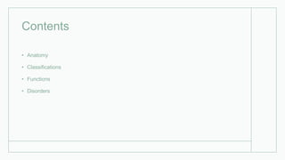 Contents
• Anatomy
• Classifications
• Functions
• Disorders
 