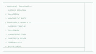 • Anatomically , it consists of ----
1. CORPUS STRAITUM
2. CLAUSTRUM
3. AMYGDALOID BODY
• Functionally , it consists of ----
1. CORPUS STRAITUM
2. CLAUSTRUM
3. AMYGDALOID BODY
4. SUBSTANTIA NIGRA
5. SUBTHALAMUS
6. RED NUCLEUS .
 