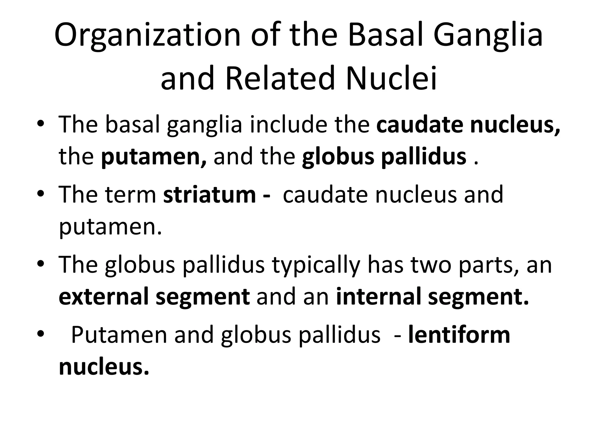 Organization of the Basal Ganglia
and Related Nuclei
• The basal ganglia include the caudate nucleus,
the putamen, and the globus pallidus .
• The term striatum - caudate nucleus and
putamen.
• The globus pallidus typically has two parts, an
external segment and an internal segment.
• Putamen and globus pallidus - lentiform
nucleus.
 