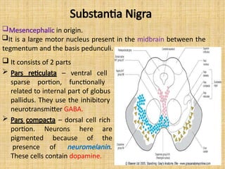 Substantia Nigra
Neurons
because
here are
of the
portion.
pigmented
presence of neuromelanin.
These cells contain dopamine.
Mesencephalic in origin.
It is a large motor nucleus present in the midbrain between the
tegmentum and the basis pedunculi.
 It consists of 2 parts
 Pars reticulata – ventral cell
sparse portion, functionally
related to internal part of globus
pallidus. They use the inhibitory
neurotransmitter GABA.
 Pars compacta – dorsal cell rich
 