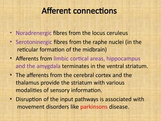 Afferent connections
• Noradrenergic fibres from the locus ceruleus
• Serotoninergic fibres from the raphe nuclei (in the
reticular formation of the midbrain)
• Afferents from limbic cortical areas, hippocampus
and the amygdala terminates in the ventral striatum.
• The afferents from the cerebral cortex and the
thalamus provide the striatum with various
modalities of sensory information.
• Disruption of the input pathways is associated with
movement disorders like parkinsons disease.
 