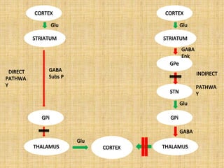 CORTEX
STRIATUM
GPi
THALAMUS CORTEX
CORTEX
STRIATUM
GPi
THALAMUS
Glu
GABA
Subs P
Glu
Glu
GABA
Enk
GPe
DIRECT
PATHWA
Y
INDIRECT
PATHWA
Y
STN
Glu
GABA
 