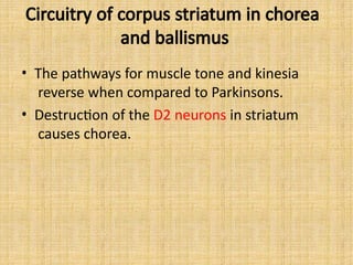 Circuitry of corpus striatum in chorea
and ballismus
• The pathways for muscle tone and kinesia
reverse when compared to Parkinsons.
• Destruction of the D2 neurons in striatum
causes chorea.
 