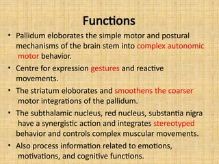 Functions
• Pallidum eloborates the simple motor and postural
mechanisms of the brain stem into complex autonomic
motor behavior.
• Centre for expression gestures and reactive
movements.
• The striatum eloborates and smoothens the coarser
motor integrations of the pallidum.
• The subthalamic nucleus, red nucleus, substantia nigra
have a synergistic action and integrates stereotyped
behavior and controls complex muscular movements.
• Also process information related to emotions,
motivations, and cognitive functions.
 