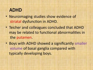 ADHD
• Neuroimaging studies show evidence of
striatal dysfunction in ADHD.
• Teicher and colleagues concluded that ADHD
may be related to functional abnormalities in
the putamen.
• Boys with ADHD showed a significantly smaller
volume of basal ganglia compared with
typically developing boys.
 