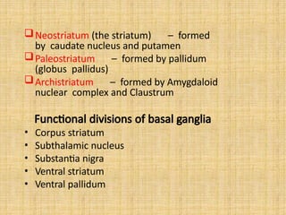 Neostriatum (the striatum) – formed
by caudate nucleus and putamen
Paleostriatum – formed by pallidum
(globus pallidus)
Archistriatum – formed by Amygdaloid
nuclear complex and Claustrum
Functional divisions of basal ganglia
• Corpus striatum
• Subthalamic nucleus
• Substantia nigra
• Ventral striatum
• Ventral pallidum
 