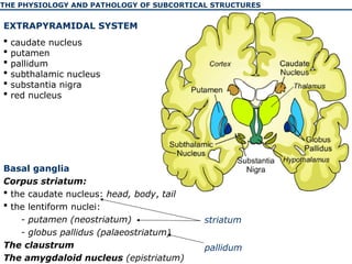 The physiology and pathology of the basal ganglia | PPT