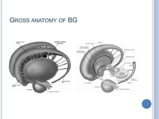 Basal ganglia 2010 | PPTX