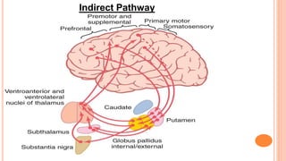 Basal ganglia | PPTX