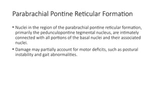 Comprehensive Anatomy and Function of Basal Ganglia in Neurology | PPTX