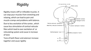 basal ganglia and its circuits connection.pptx