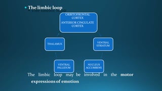 BASAL GANGLIA AND PSYCHIATRY.pptx
