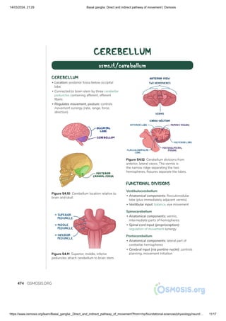 Basal ganglia_ Direct and indirect pathway of movement _ Osmosis.pdf