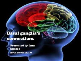 Basal ganglia’s
connections
Presented by Irma
Suntoo
ROLL NUMBER 102
 