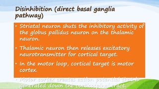 Disinhibition (direct basal ganglia
pathway)
• Striatal neuron shuts the inhibitory activity of
the globus pallidus neuron on the thalamic
neuron.
• Thalamic neuron then releases excitatory
neurotransmitter for cortical target.
• In the motor loop, cortical target is motor
cortex.
• Motor cortex creates action potential that is
generated down the corticospinal tract.
 